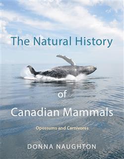 The Natural History of Canadian Mammals: Opossums and Carnivores