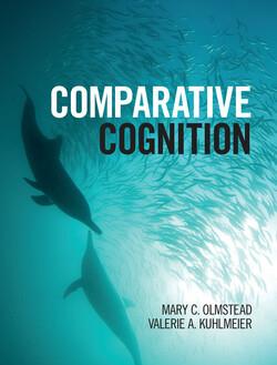 Comparative Cognition