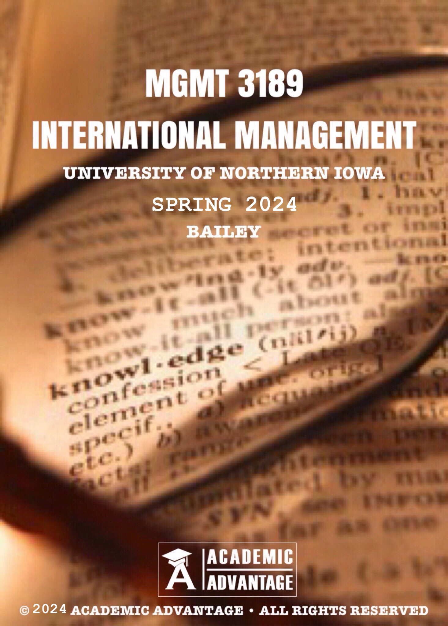 MGMT 3189 International Management Spring '24