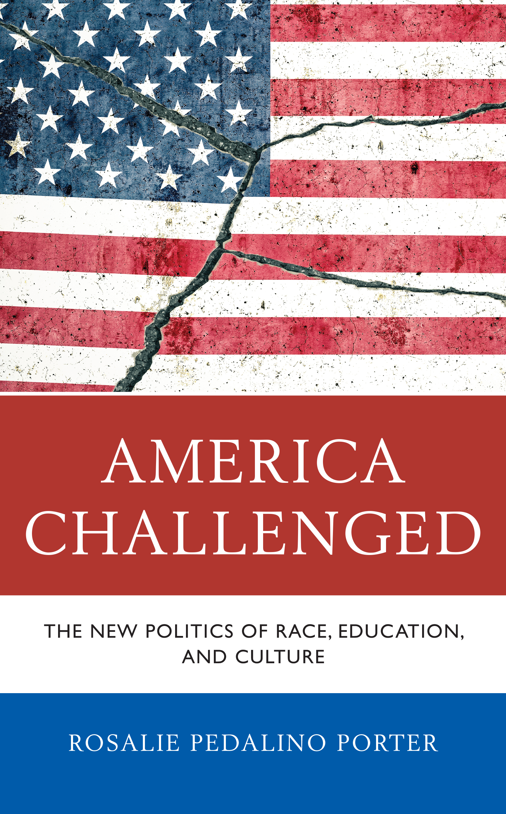 America Challenged: The New Politics of Race, Education, and Culture