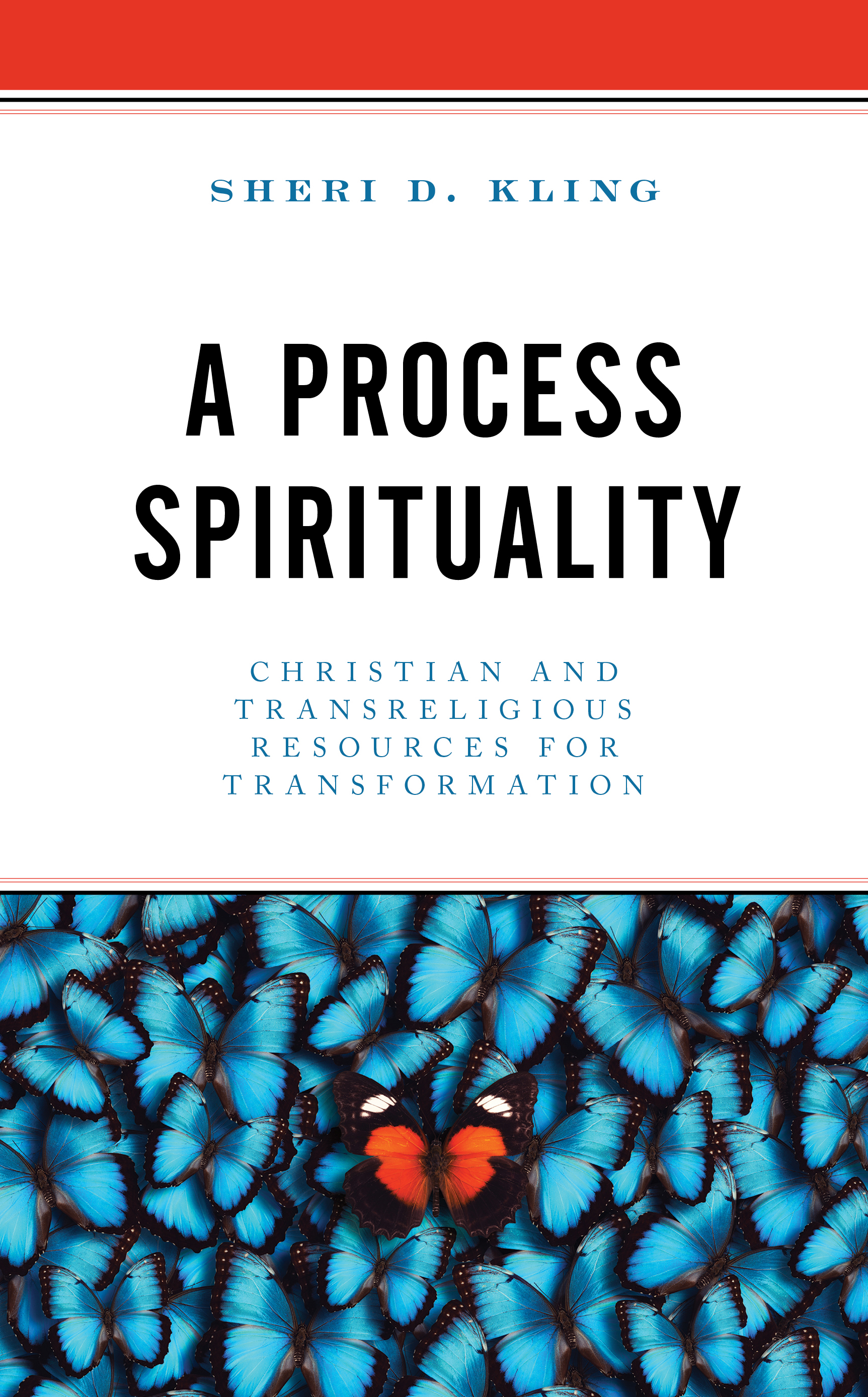 A Process Spirituality: Christian and Transreligious Resources for Transformation