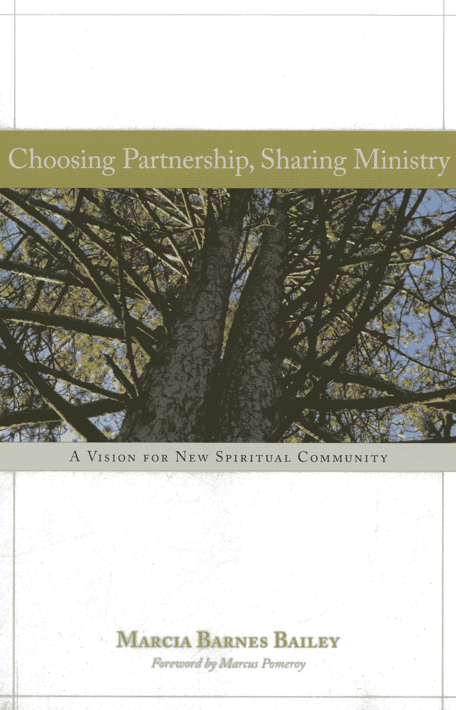 Choosing Partnership, Sharing Ministry: A Vision for New Spiritual Community