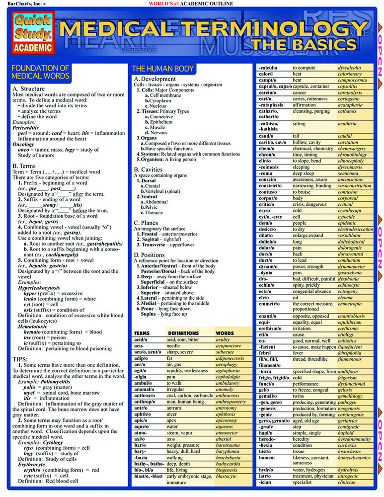 Medical Terminology:The Basics: a QuickStudy Laminated Reference Guide