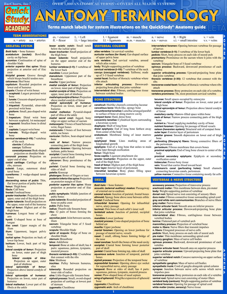 Anatomy Terminology Reference Guide: for use with Anatomy Reference Guide (9781423222781)