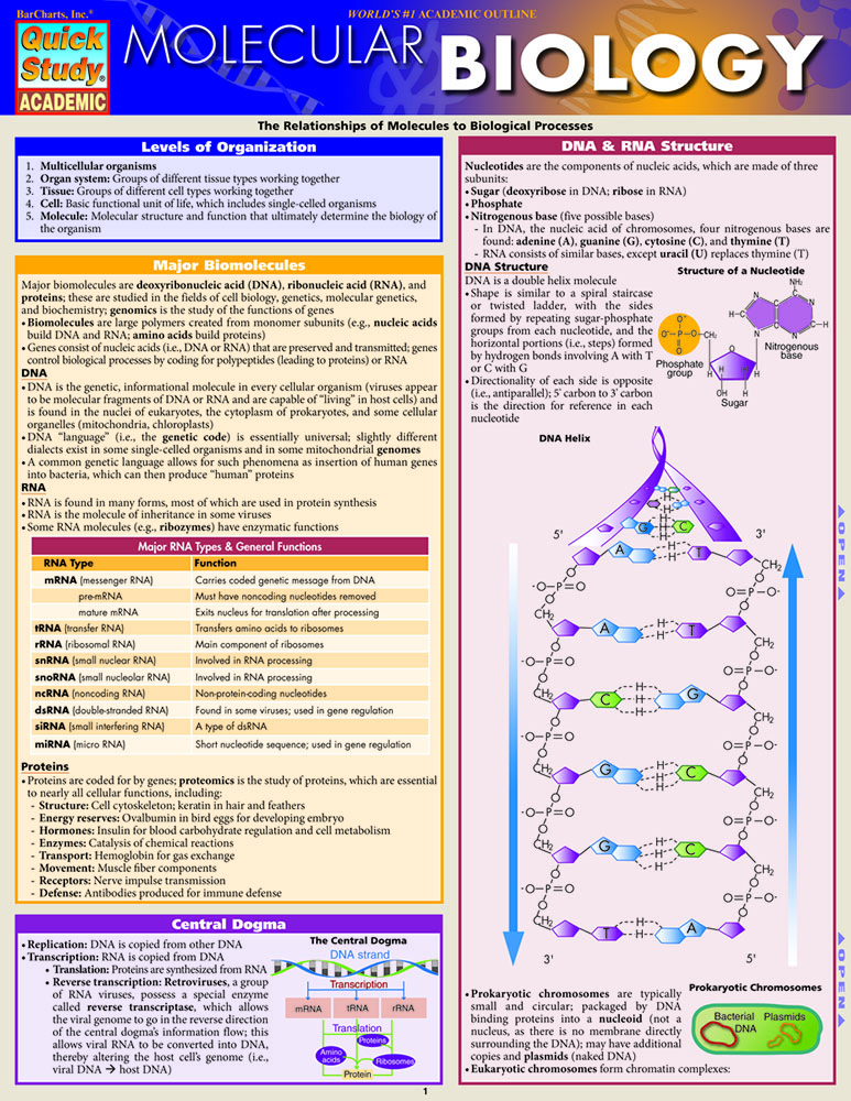 Molecular Biology