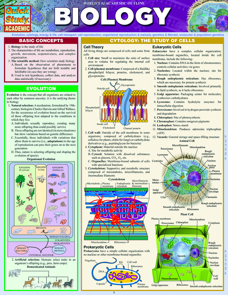 Biology: a QuickStudy Reference Guide