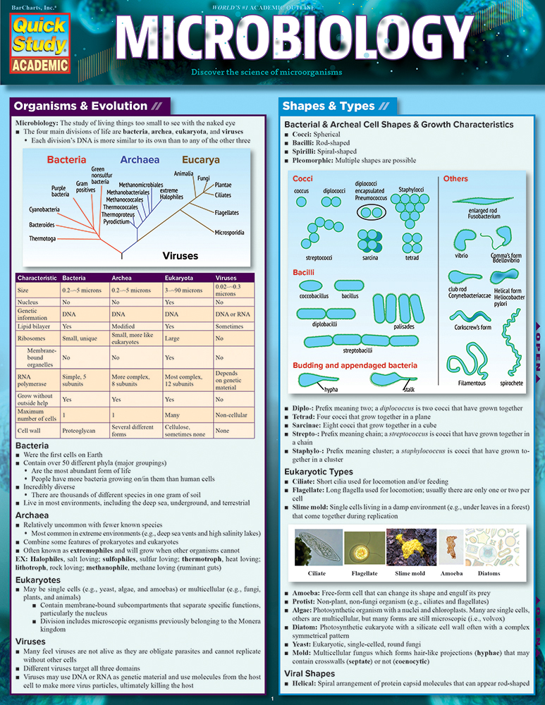 Microbiology: a QuickStudy Laminated 6-Page Reference Guide